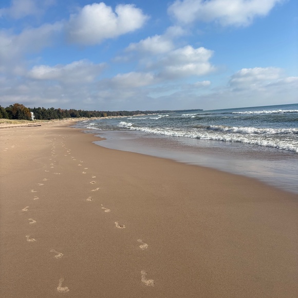 Meet your Posher, Maia - Picture 1 of 1